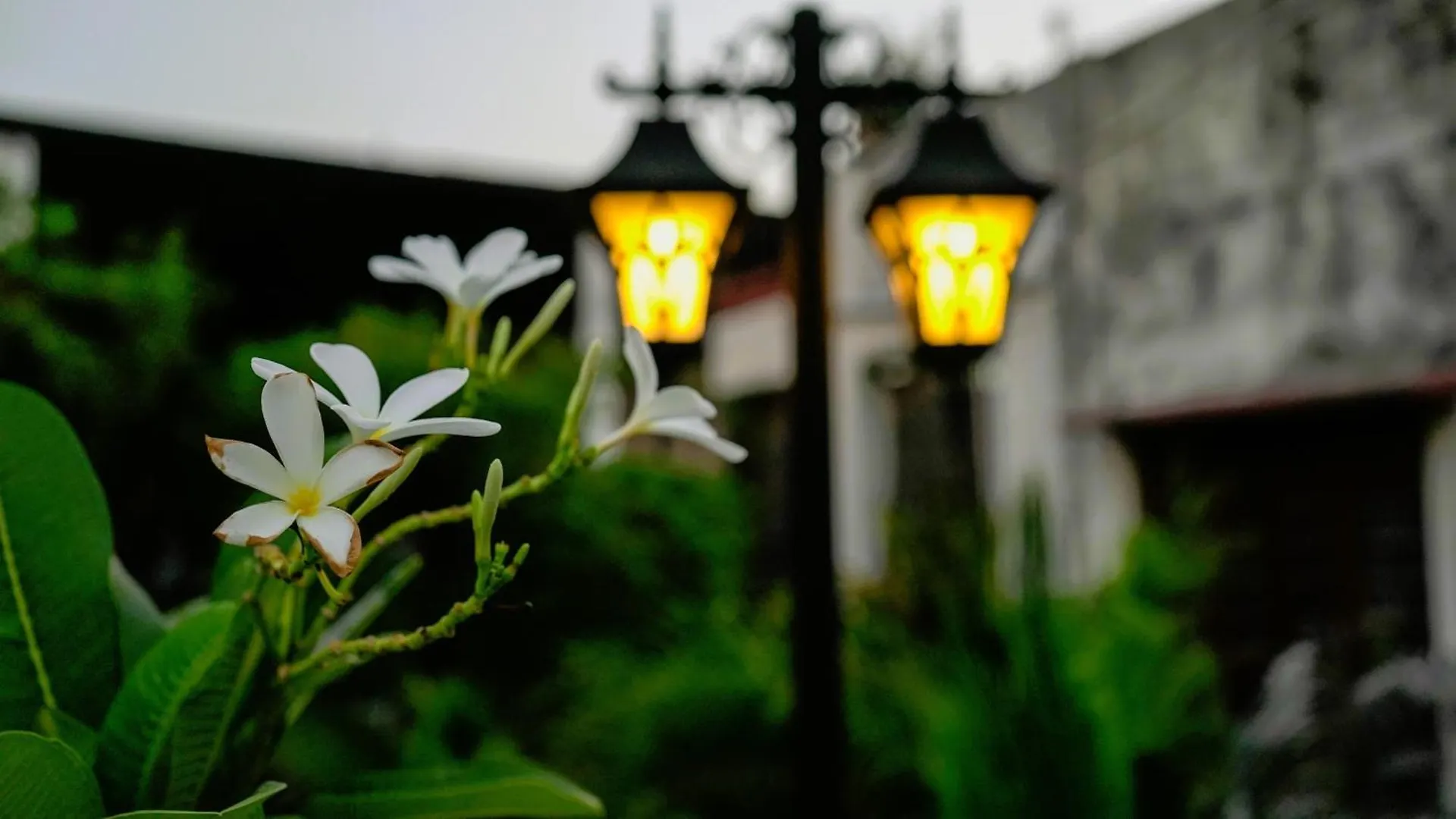 ורנאסי Stay Banaras - A Boutique Hotel